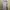 Cider Minimalist Midi dress Wanita white photo 1