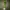 Avant Garde Wanita white green photo 1