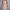 Givenchy Casual Casual dress Wanita tan photo 1