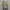 Vintage Casual Trench Coat Pria Multicolor