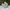 Asics Casual Sneakers Pria cream photo 1