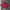 Vintage Hoody Pria Red