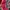Vintage Hoody Pria red photo 3