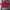 Vintage Hoody Pria red photo 2