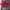 Vintage Hoody Pria Red
