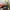 Streetwear Sportswear Sunglass Pria orange blue photo 3