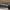 Streetwear Biker Sunglass Pria green black photo 5