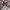 Nike Streetwear Reworked Sneakers Pria white red photo 3