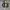 Nike Casual Sneakers Pria white photo 6