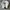 Nike Casual Sneakers Pria white photo 3