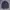 Polo Ralph Lauren Casual Polo shirt Pria navy photo 1