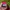 DKNY Vintage Y2K Hat Wanita red photo 5