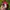 DKNY Vintage Y2K Hat Wanita red photo 6