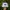 Ripndip Streetwear Skater Hat Pria white photo 1