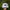 Ripndip Streetwear Skater Hat Pria White