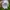 Ripndip Streetwear Skater Hat Pria white photo 4