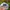Ripndip Streetwear Skater Hat Pria white photo 5