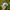 Ripndip Streetwear Skater Hat Pria white photo 3