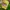Vintage Streetwear Hat Pria yellow photo 3