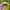 Vintage Streetwear Hat Pria yellow photo 4