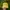 Vintage Streetwear Hat Pria yellow photo 1