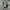 VANS Casual Sneakers Pria white green photo 3