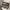 EDWIN Vintage Streetwear Denim jacket Pria white tan photo 4