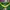 Adidas Vintage Y2K Jersey Pria green photo 5