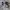 Nike Futurist Casual Sneakers Pria white black photo 1
