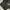 Carhartt Casual Fleece Pria black photo 5