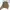 Burberry Luxury Bomber jacket Wanita brown photo 1