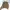 Burberry Luxury Bomber Jacket Wanita Brown