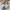 Wrangler Casual Casual pants Pria cream photo 6