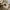 Wrangler Casual Casual pants Pria cream photo 2