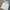 Nike Vintage Sportswear Jersey Pria white blue photo 3
