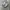 Salomon Gorpcore Casual Sneakers Pria gray cream photo 1