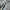 Salomon Gorpcore Casual Sneakers Pria gray cream photo 2