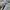 Salomon Gorpcore Casual Sneakers Pria Gray Cream