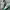 Adidas Casual Casual shoe Pria white green photo 2