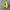Salomon Gorpcore Sneakers Pria green blue photo 5
