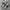 Nike Casual Sneakers Pria white black photo 1