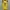 Casual Casual shirt Pria yellow photo 1