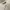 Vintage Casual Wanita white photo 3