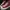 Converse Casual Sneakers Wanita red photo 1