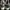 Adidas Casual Sneakers Pria white photo 2