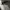 Adidas Casual Sneakers Pria white photo 5