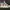 Nike Sportswear Sneakers Pria multicolor white photo 3