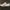 Caterpillar Casual Reworked Ankle Boots Pria White Cream