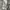 Luxury Casual T-shirt Pria gray photo 4