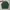 Montbell Streetwear Skater T-shirt Pria green photo 1